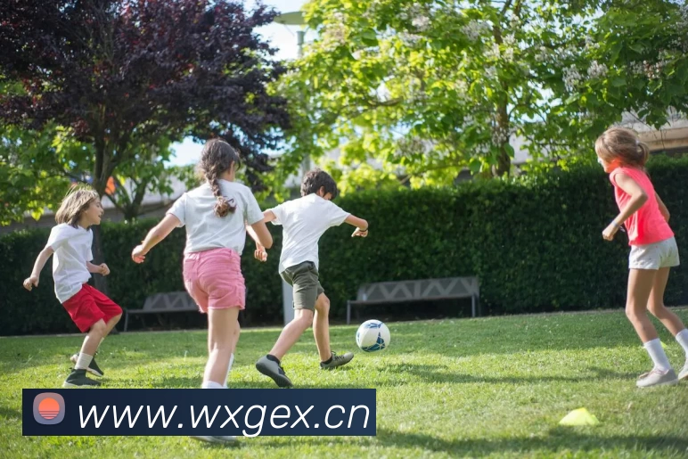 多媒体互动体验