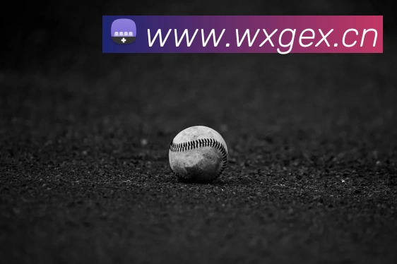 bsports官网首页APP 封面图